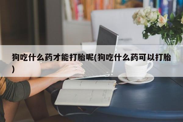 打胎药在线购买微信狗吃什么药才能打胎呢(狗吃什么药可以打胎)