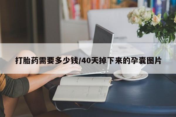 打胎药在线购买微信打胎药需要多少钱/40天掉下来的孕囊图片